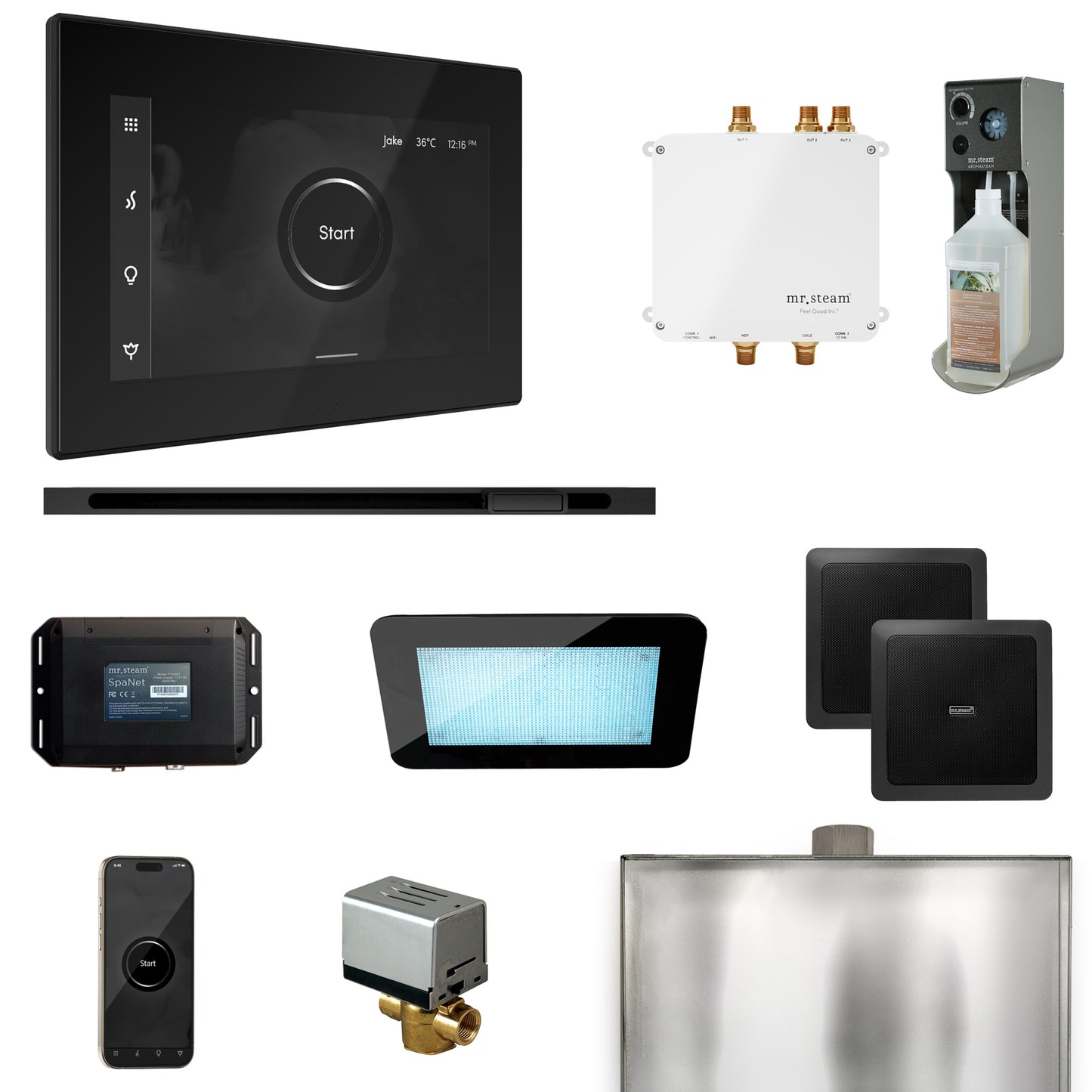 Bliss Steam Shower Control Package with iSteamX Control and Linear Steamhead
