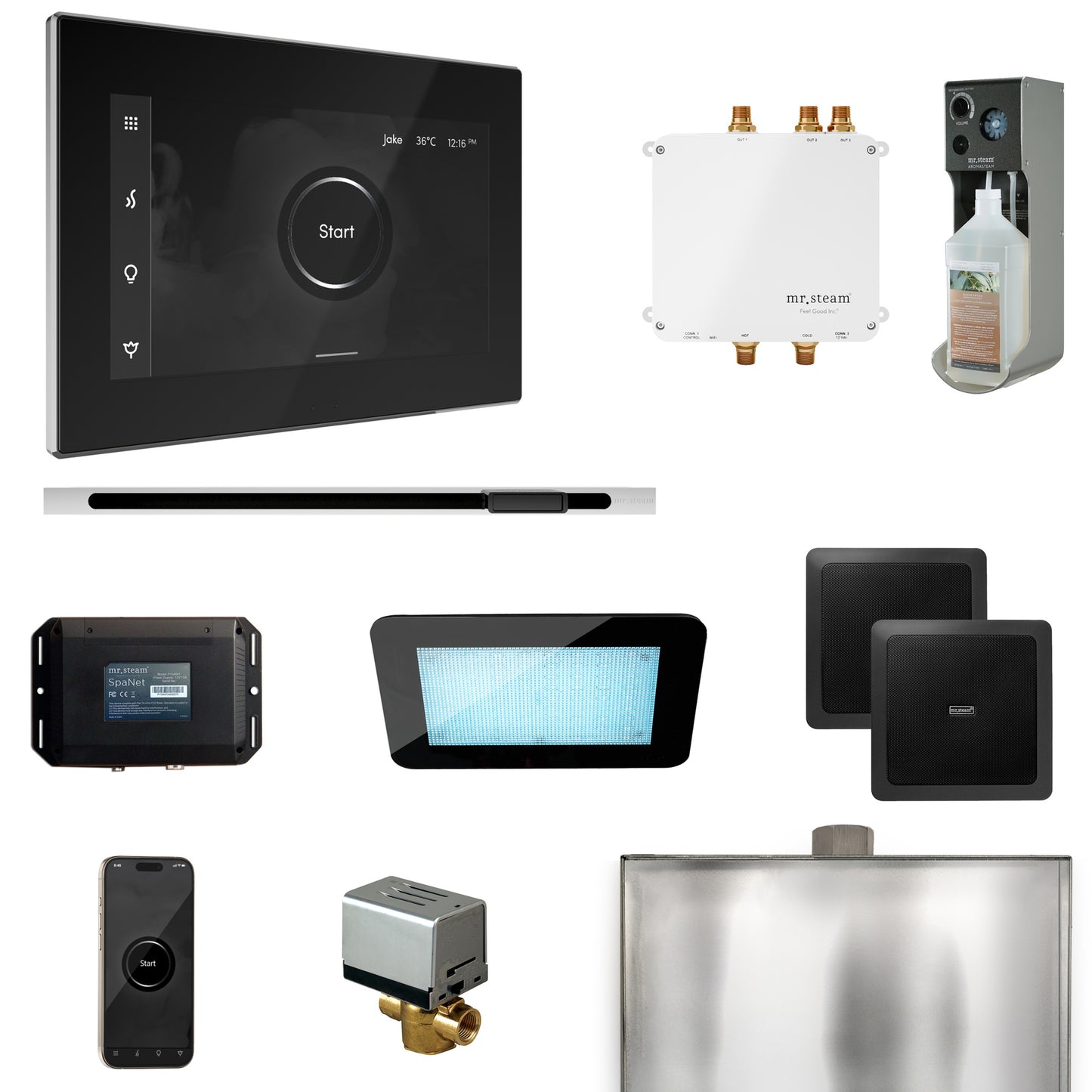 Bliss Steam Shower Control Package with iSteamX Control and Linear Steamhead