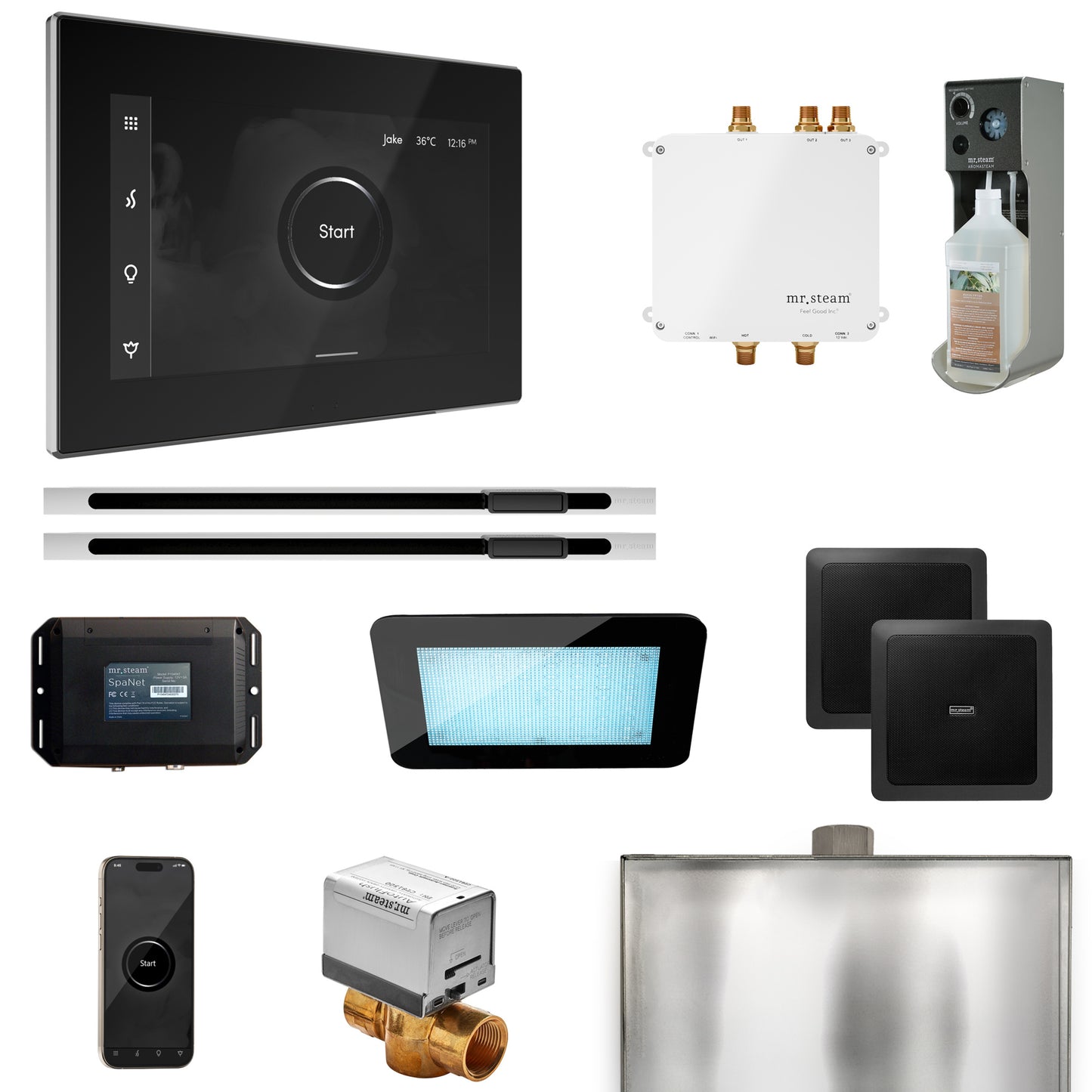 Bliss Max Steam Shower Control Package with iSteamX Control and Linear Steamhead