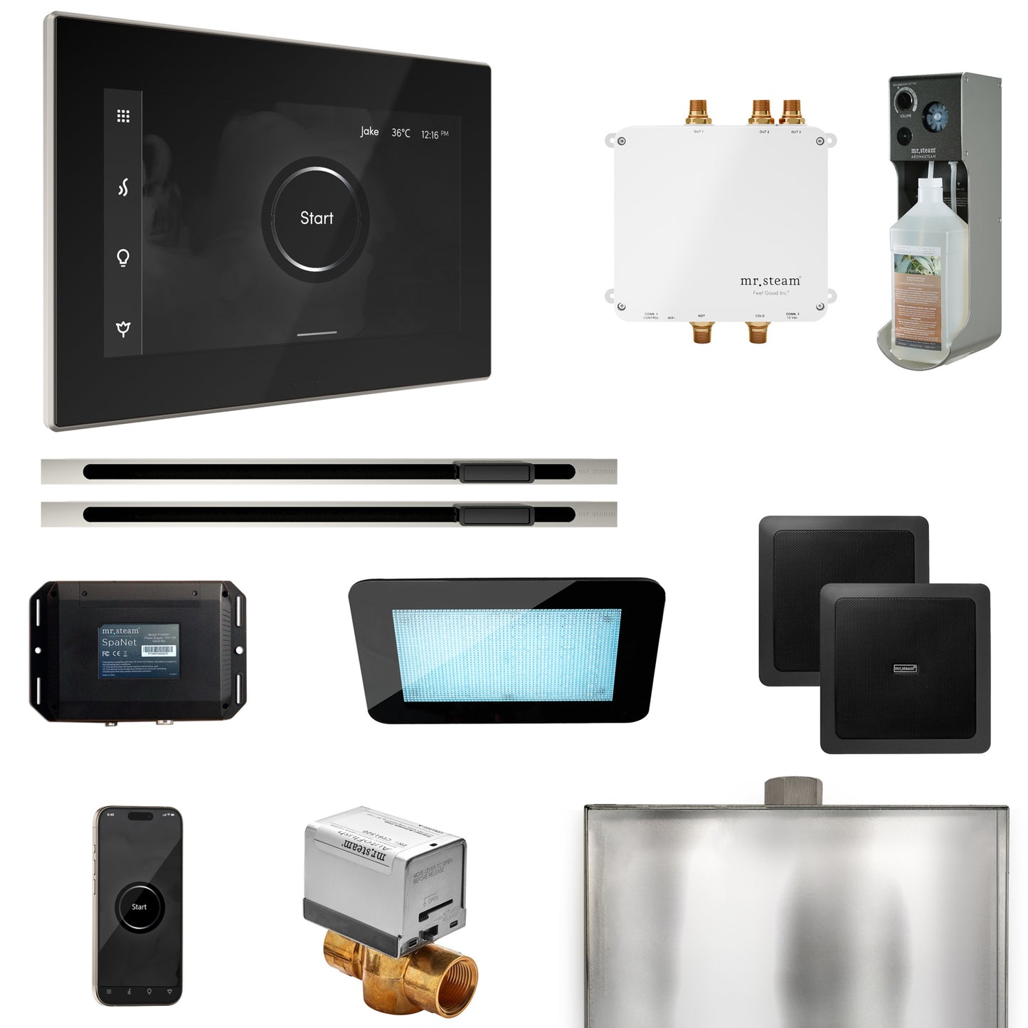 Bliss Max Steam Shower Control Package with iSteamX Control and Linear Steamhead