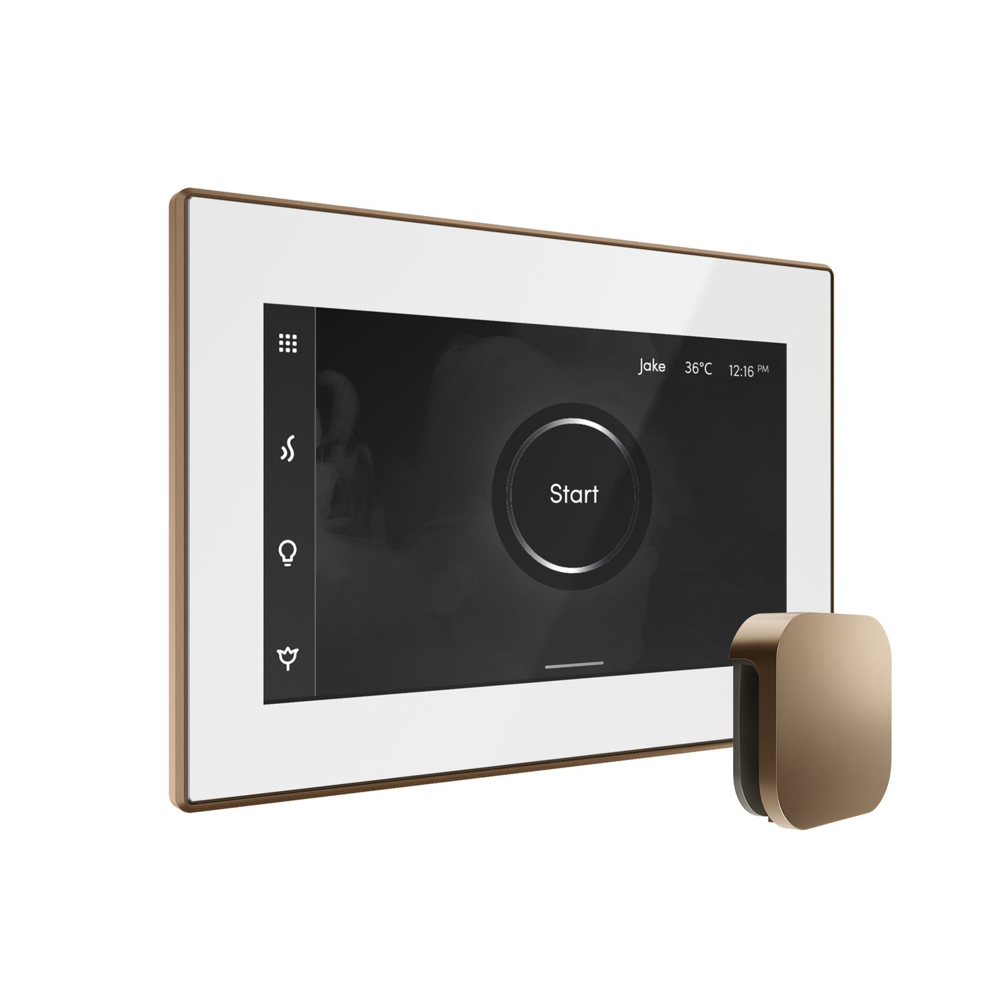 Bliss Steam Shower Control Package with iSteamX Control and Steamhead