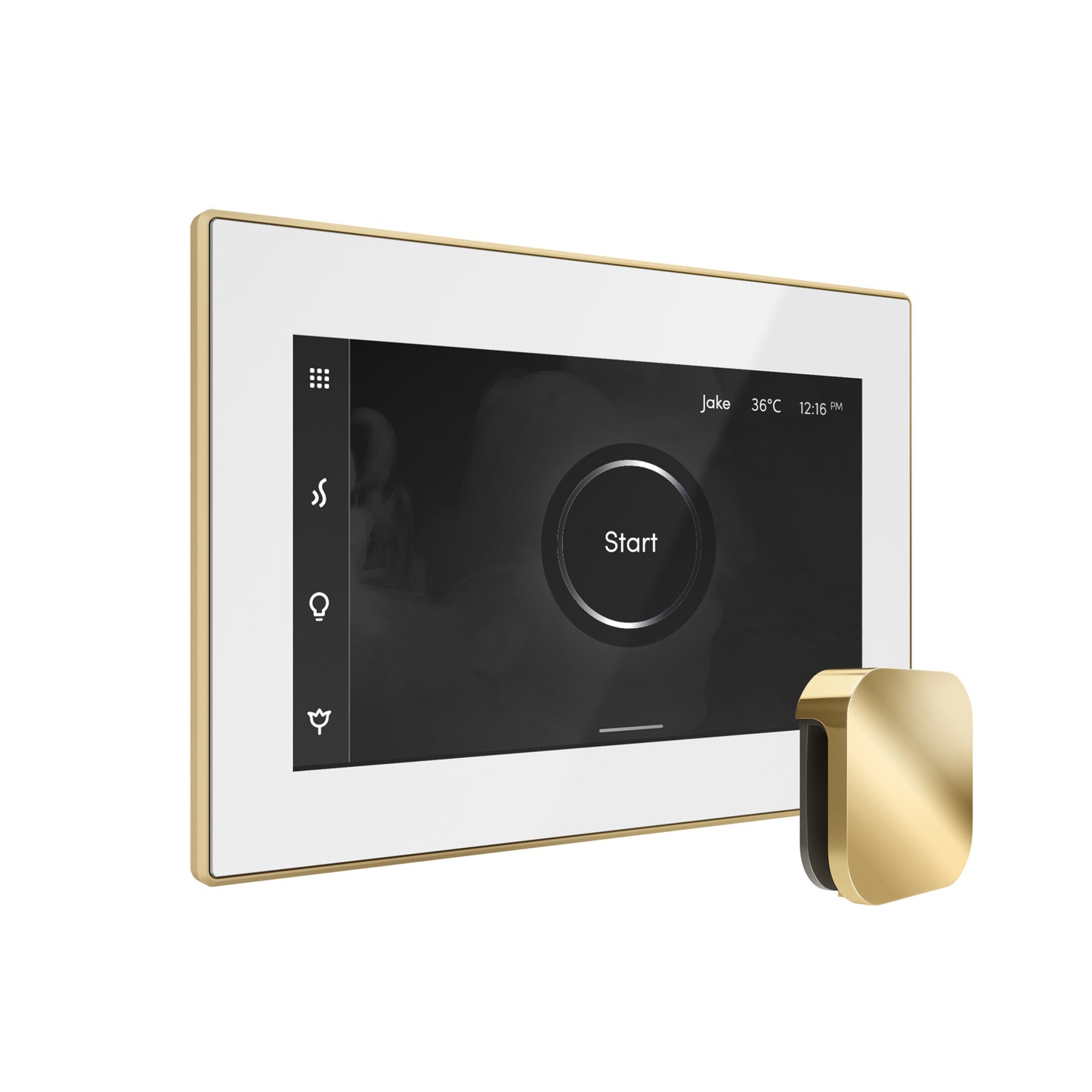 Bliss Steam Shower Control Package with iSteamX Control and Steamhead