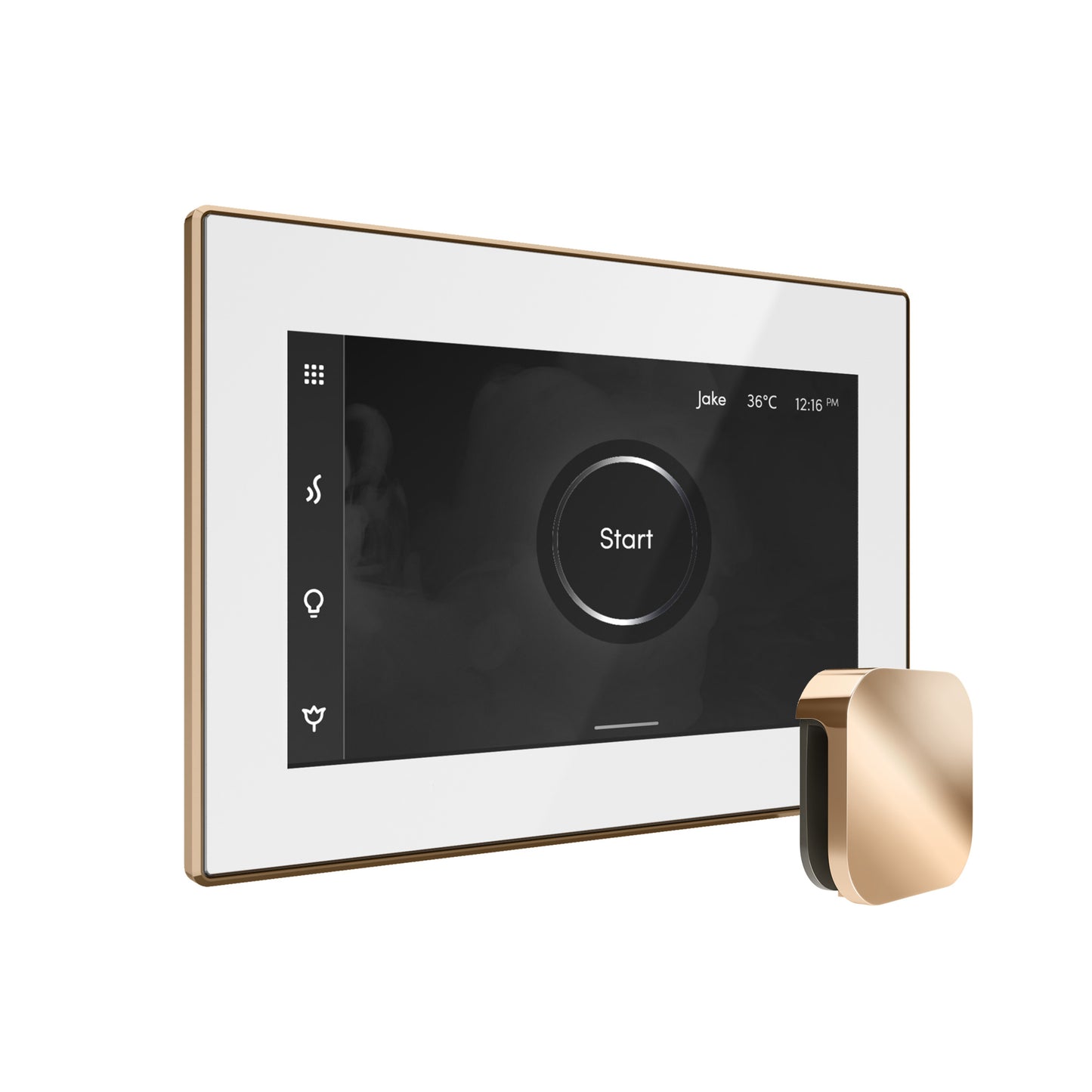 Bliss Steam Shower Control Package with iSteamX Control and Steamhead