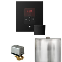 Basic Butler Steam Shower Control Package with iTempo Control and Steamhead