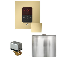Basic Butler Steam Shower Control Package with iTempo Control and Steamhead