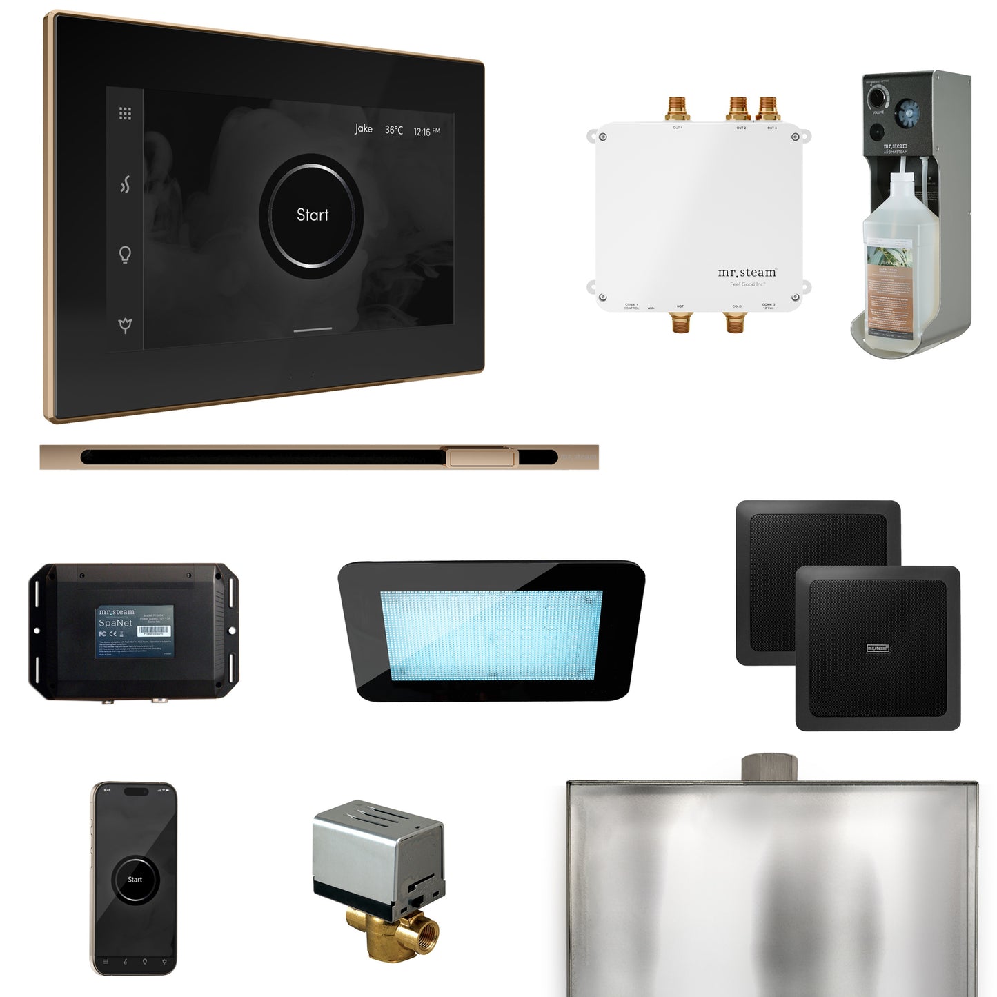 Bliss Steam Shower Control Package with iSteamX Control and Linear Steamhead