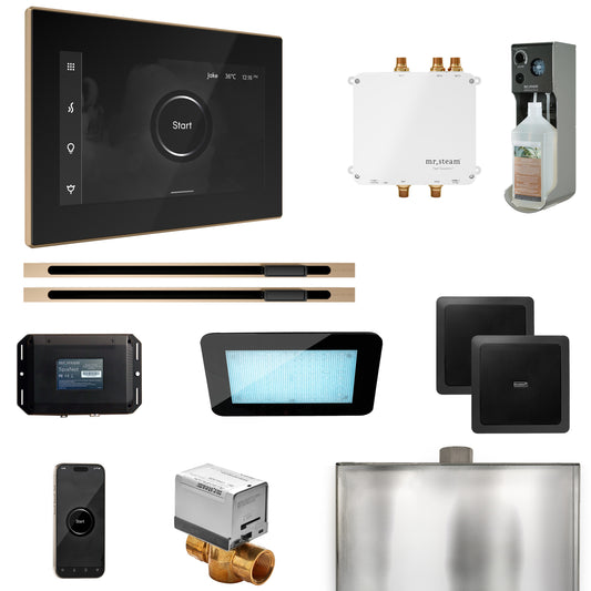 Bliss Max Steam Shower Control Package with iSteamX Control and Linear Steamhead