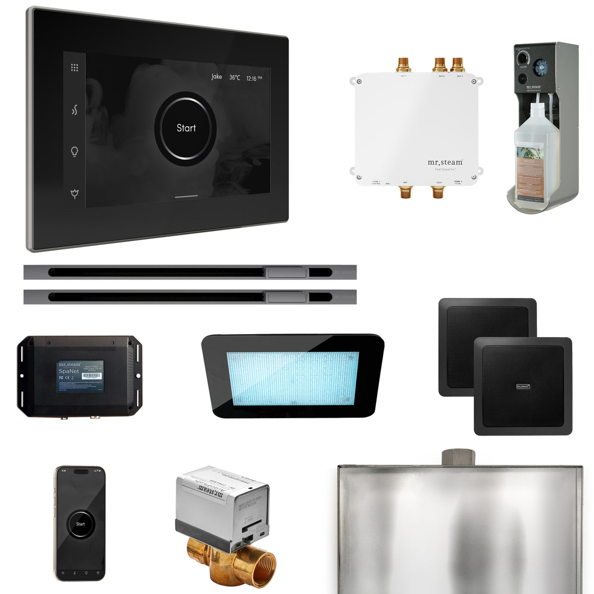 Bliss Max Steam Shower Control Package with iSteamX Control and Linear Steamhead