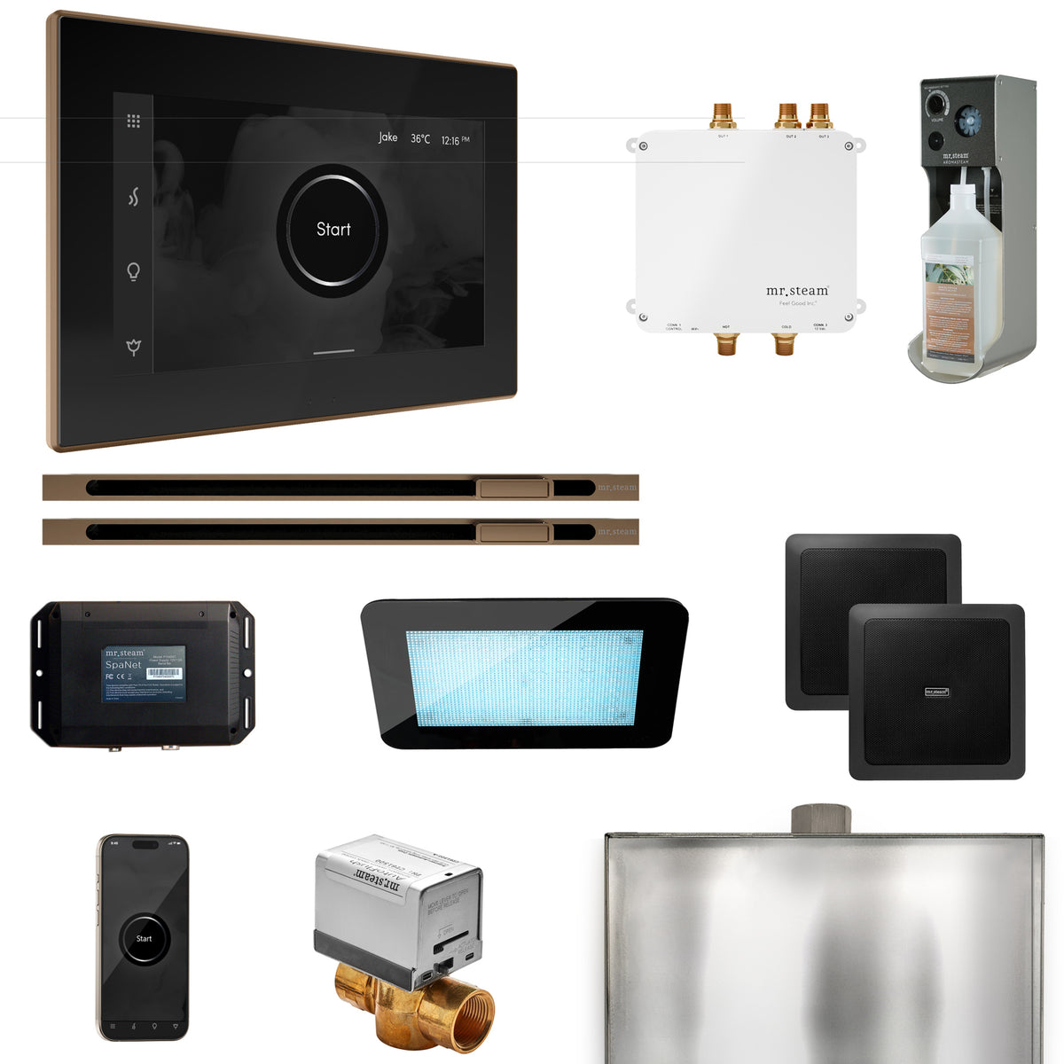 Bliss Max Steam Shower Control Package with iSteamX Control and Linear Steamhead