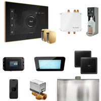 Bliss Max Steam Shower Control Package with iSteamX Control and Steamhead
