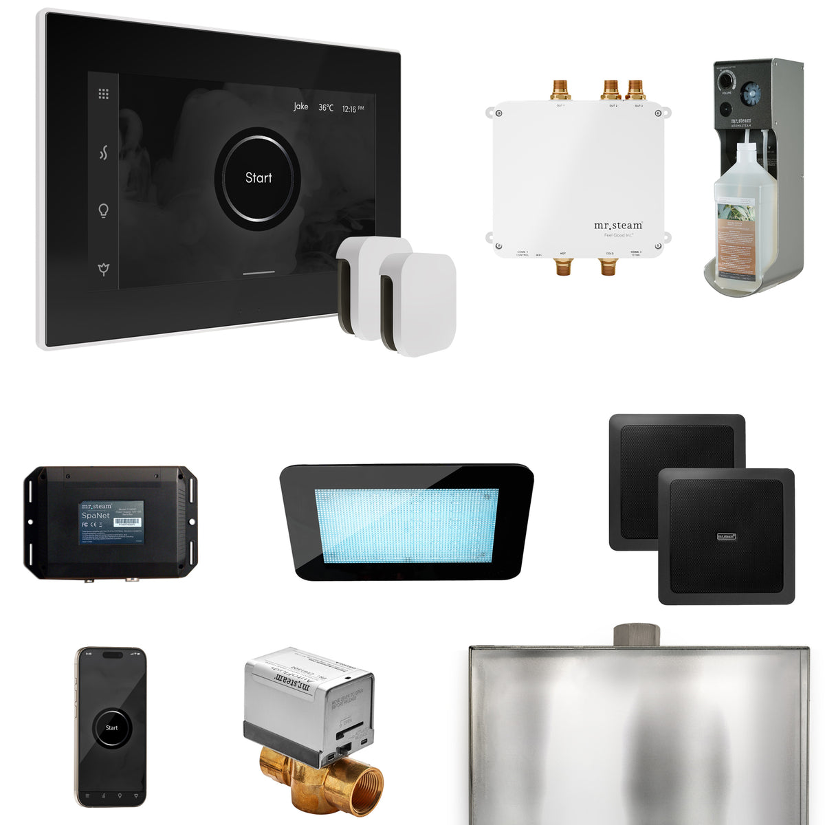 Bliss Max Steam Shower Control Package with iSteamX Control and Steamhead