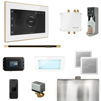 Bliss Steam Shower Control Package with iSteamX Control and Linear Steamhead