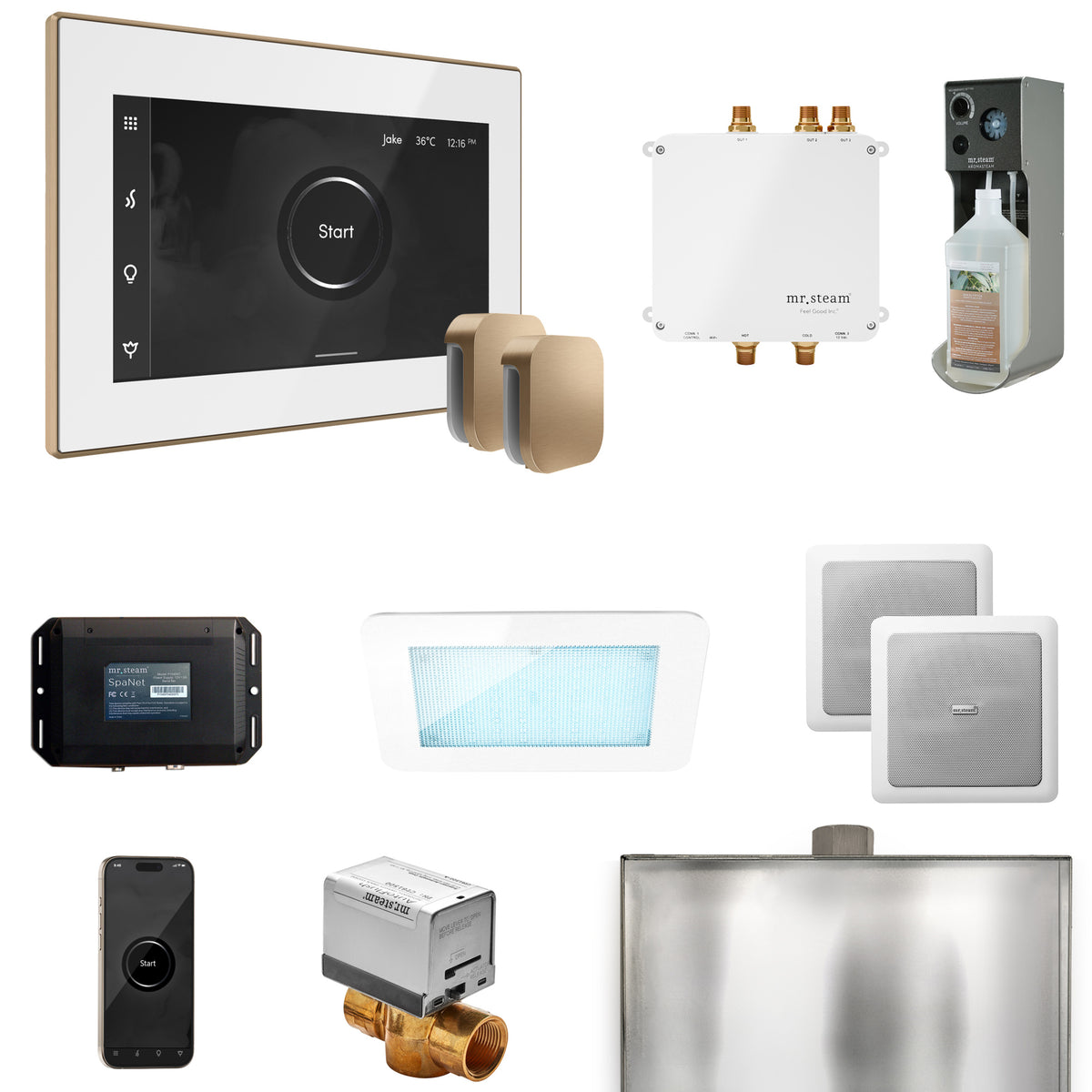 Bliss Max Steam Shower Control Package with iSteamX Control and Steamhead