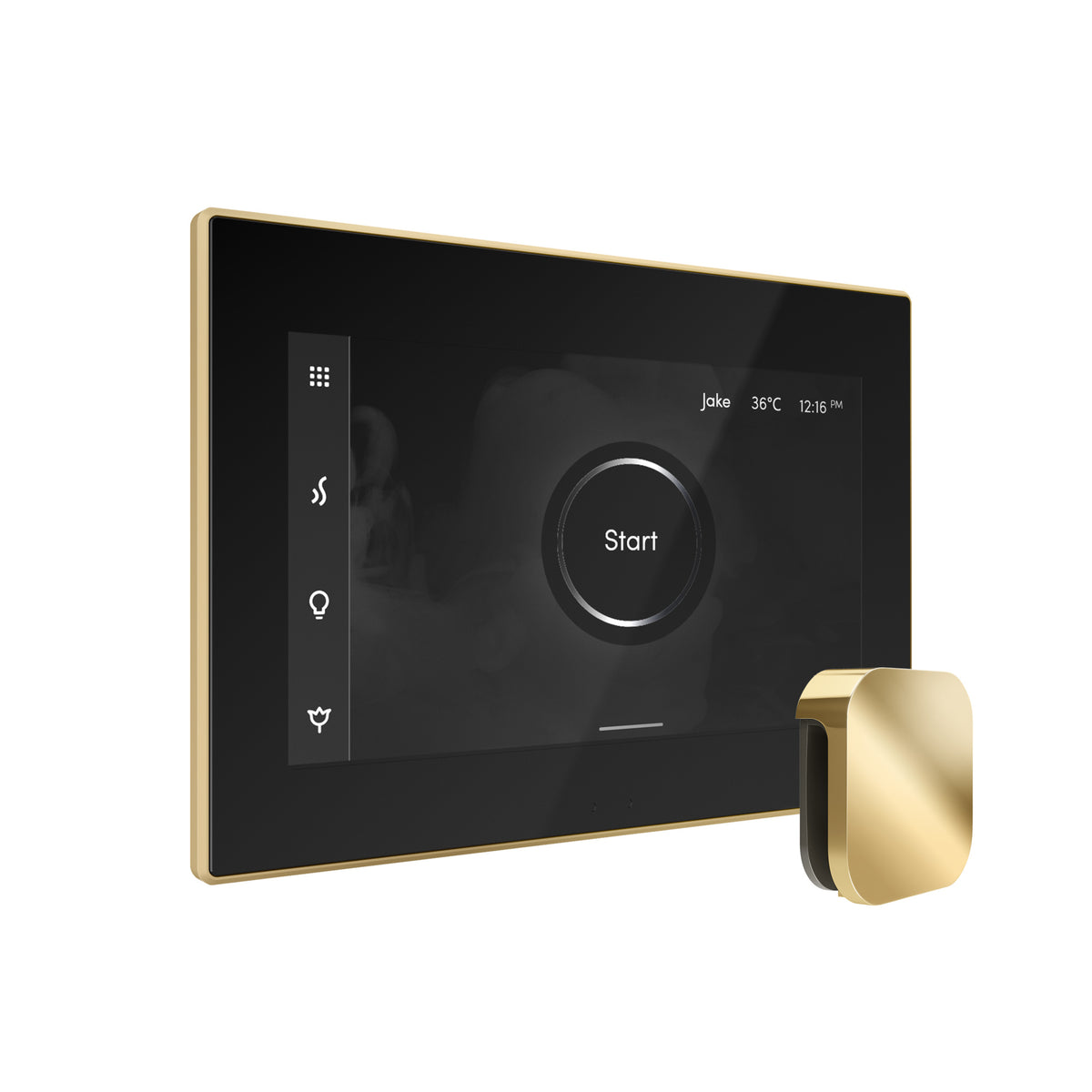 Bliss Steam Shower Control Package with iSteamX Control and Steamhead