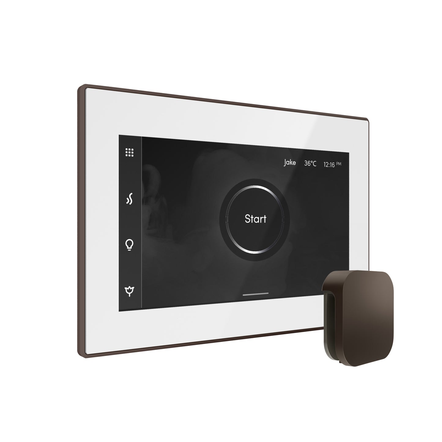 Bliss Steam Shower Control Package with iSteamX Control and Steamhead