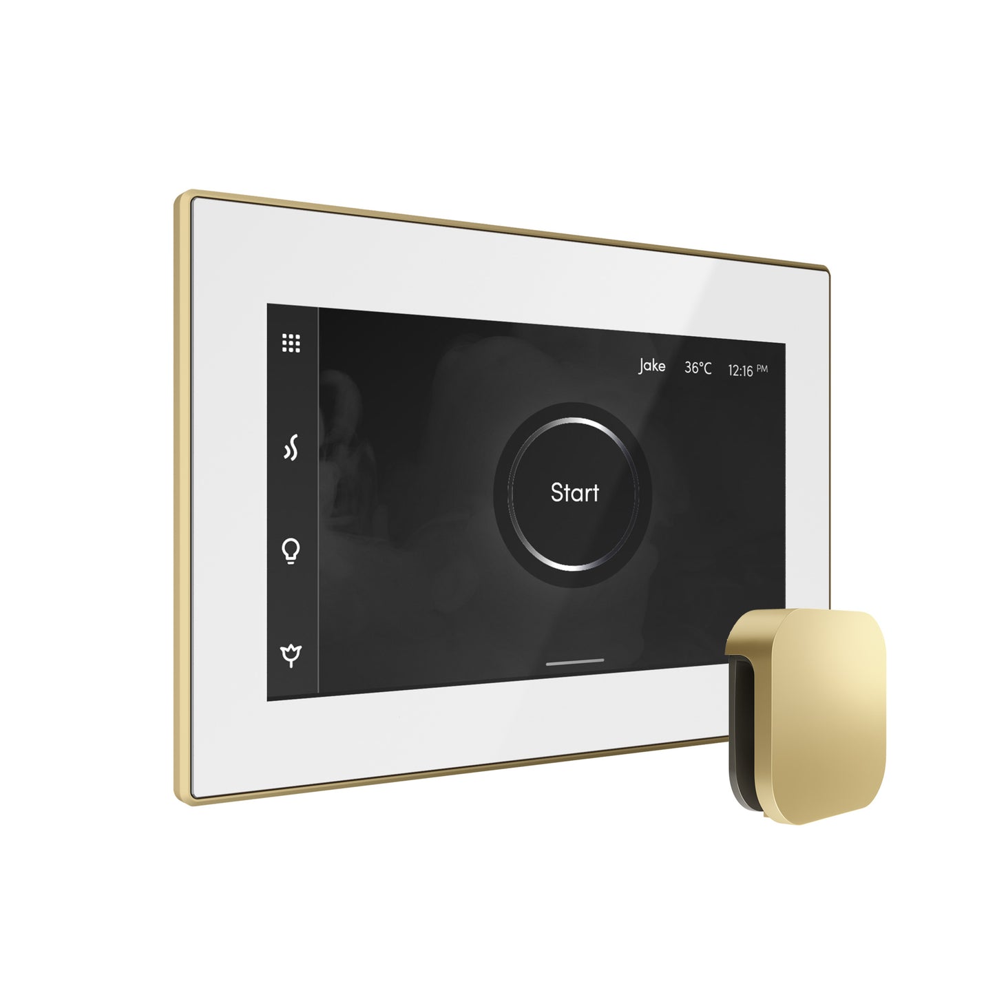 Bliss Steam Shower Control Package with iSteamX Control and Steamhead